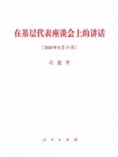在基层代表座谈会上的讲话